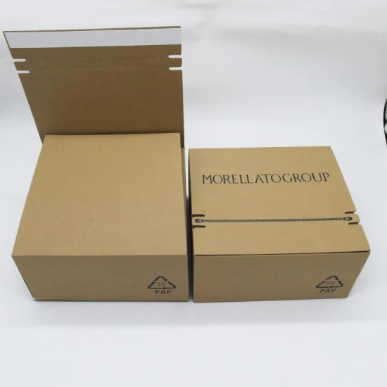 관례에 의하여 인쇄되는 골판지 종이 선물 선박 우편물 수송용 포장 상자